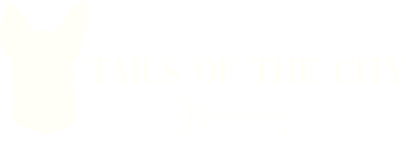 logo of tails of the city 